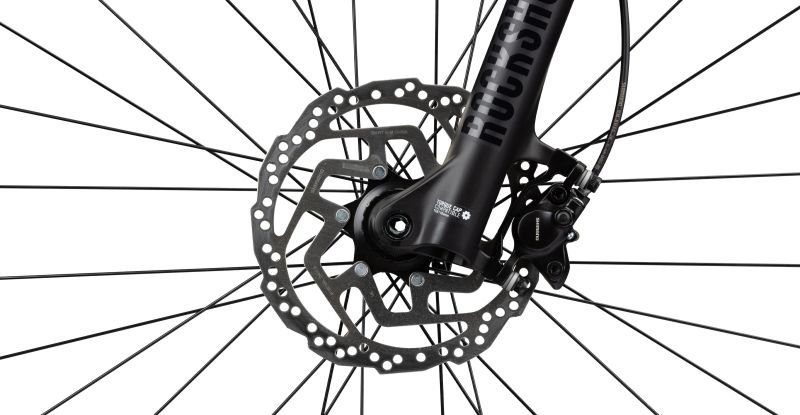 Radon JEALOUS AL 6.0 – Bild 3