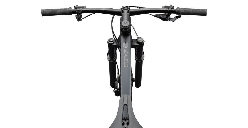 Radon JEALOUS AL 6.0 – Bild 4