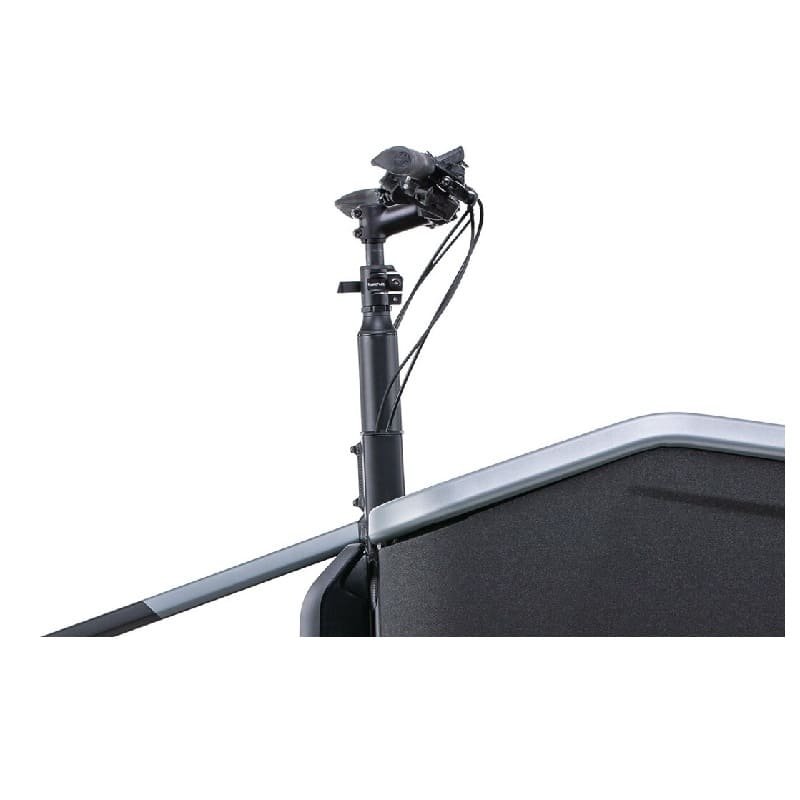 Cube Cargo Sport Dual Hybrid 1000 - 1000 Wh - 2025 - 27,5 Zoll – Bild 2