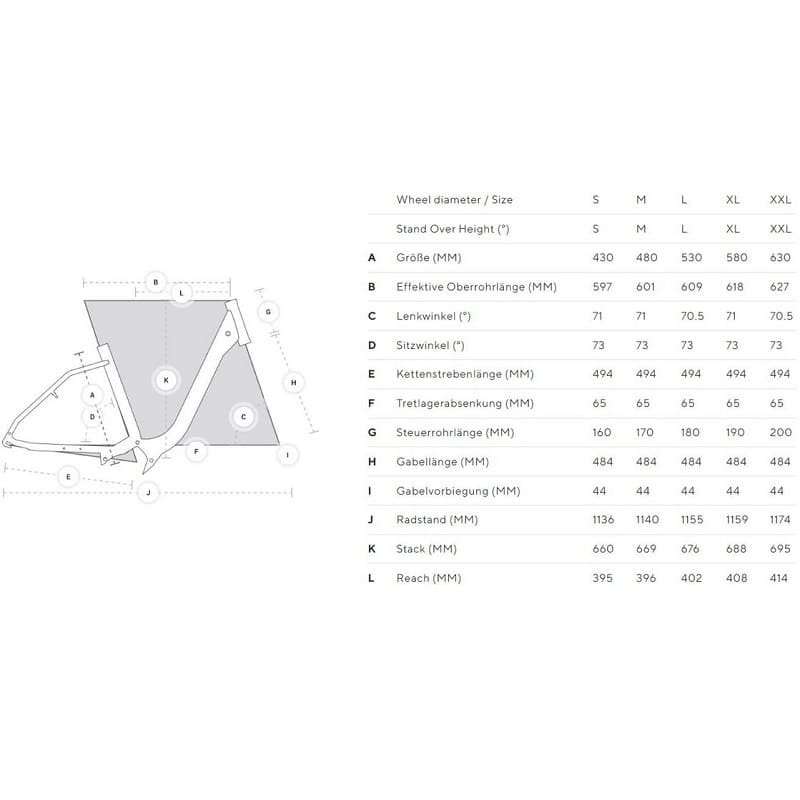 Kalkhoff Entice 5.B Move+ - 625 Wh - Auslaufmodell - 29 Zoll - Damen Sport – Bild 2